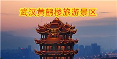 大黑鸡巴性爱视频