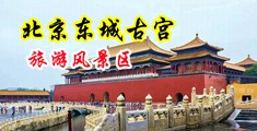 美女莫骚逼刘北京中国北京-东城古宫旅游风景区