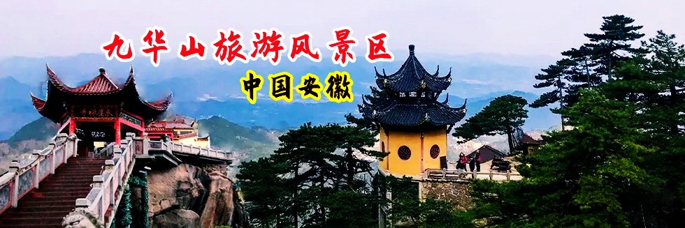爆懆美女的网站